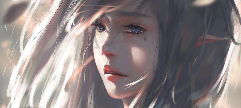 二狗acg漫画分区界面，展示日漫国漫条漫三大子分类的封面网格排列，暖色插画风格背景